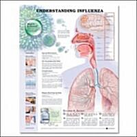 understanding influenza  chart (Chart, 1st, LAM)