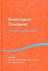 Brain Injury Treatment : Theories and Practices (Hardcover)