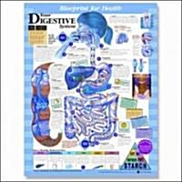 Blueprint For Health Your Digestive System Chart (Chart, 1st)