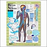 Blueprint For Health Your Brain And Nerves Chart (Chart, 1st)