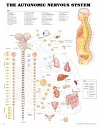 The Autonomic Nervous System Anatomical Chart (Hardcover, 3)