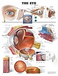 The Eye Chart (Chart, 1st)