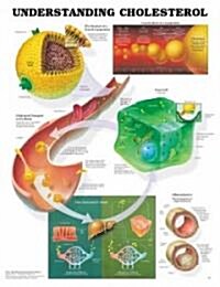 Understanding Cholesterol Chart (Chart, 1st)