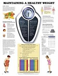 Maintaining A Healthy Weight Chart (Chart, 1st)