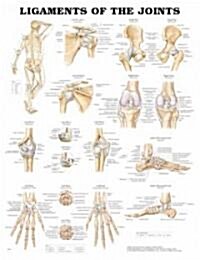 Ligaments of the Joints Anatomical Chart (Other)