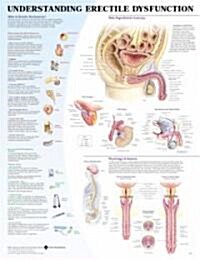 Understanding Erectile Dysfunction Chart (Chart, 1st)