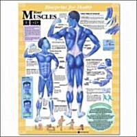 Blueprint For Health Your Muscle Chart (Chart, 1st)