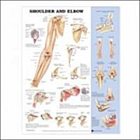 Shoulder and Elbow Anatomical Chart (Other, 3)