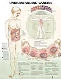 Understanding Cancer Chart (Chart, 1st)