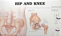 Hip and Knee Anatomical Chart (Paperback, 2)