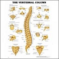 The Vertebral Column Anatomical Chart (Hardcover, 3)