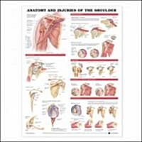 Anatomy and Injuries of the Shoulder Anatomical Chart (Hardcover, DLX Reissue)