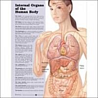 Internal Organs of the Human Body Anatomical Chart (Other, Revised)