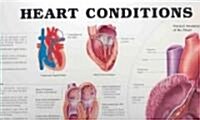 Heart Conditions (Chart, 1st)