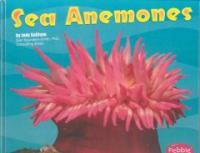 Sea anemones