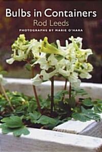 Bulbs In Containers (Hardcover)