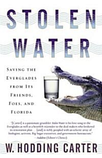 Stolen Water: Saving the Everglades from Its Friends, Foes, and Florida (Paperback)