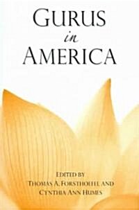 Gurus in America (Paperback)