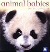 Animal Babies on Mountains (Board Books)