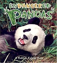 Endangered Pandas (Paperback)