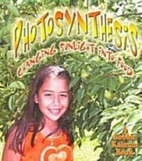 Photosynthesis (Library)