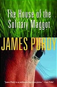 The House Of The Solitary Maggot (Paperback)