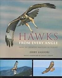 Hawks from Every Angle: How to Identify Raptors in Flight (Paperback)