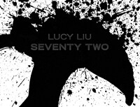 Lucy Liu: seventy two 