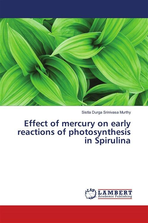 Effect of mercury on early reactions of photosynthesis in Spirulina (1st)