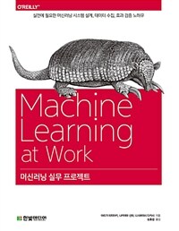 머신러닝 실무 프로젝트 =Machine learning at work 
