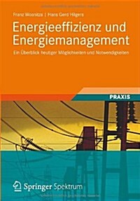 Energieeffizienz Und Energiemanagement: Ein ?erblick Heutiger M?lichkeiten Und Notwendigkeiten (Hardcover, 2012)