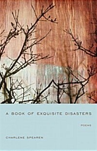 A Book of Exquisite Disasters (Paperback)