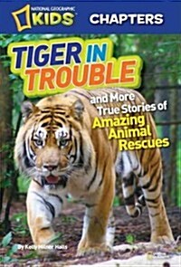 Tiger in Trouble!: And More True Stories of Amazing Animal Rescues (Paperback)
