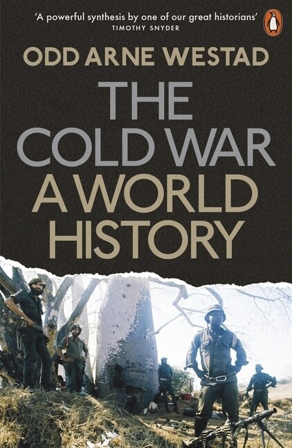 The Cold War : A World History (Paperback)