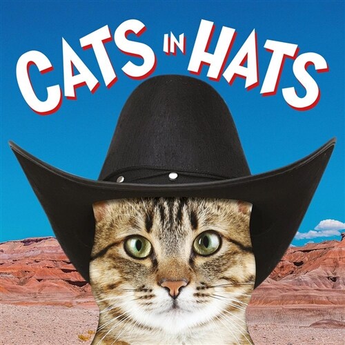 Cats in Hats (Board Book)