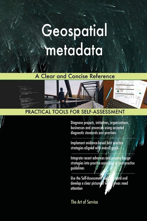 Geospatial Metadata a Clear and Concise Reference (Paperback)