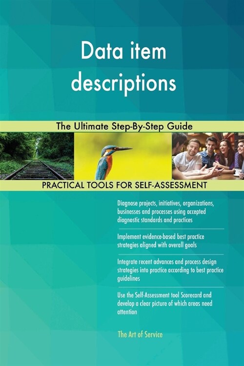 Data Item Descriptions the Ultimate Step-By-Step Guide (Paperback)