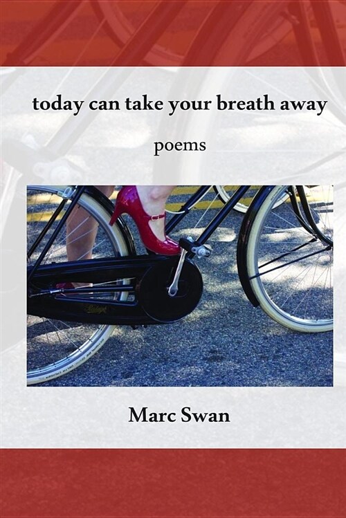 Today Can Take Your Breath Away: Poems (Paperback)