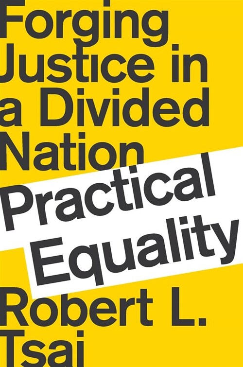 Practical Equality: Forging Justice in a Divided Nation (Hardcover)