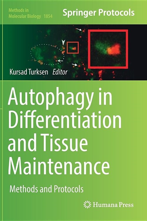 Autophagy in Differentiation and Tissue Maintenance: Methods and Protocols (Hardcover, 2019)