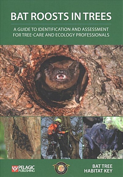 Bat Roosts in Trees : A Guide to Identification and Assessment for Tree-Care and Ecology Professionals (Paperback)