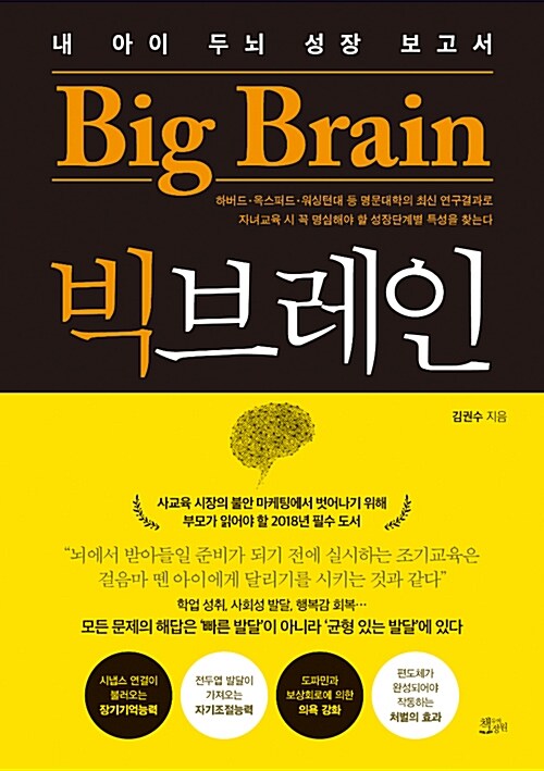 빅브레인= Big brain : 내 아이 두뇌 성장 보고서
