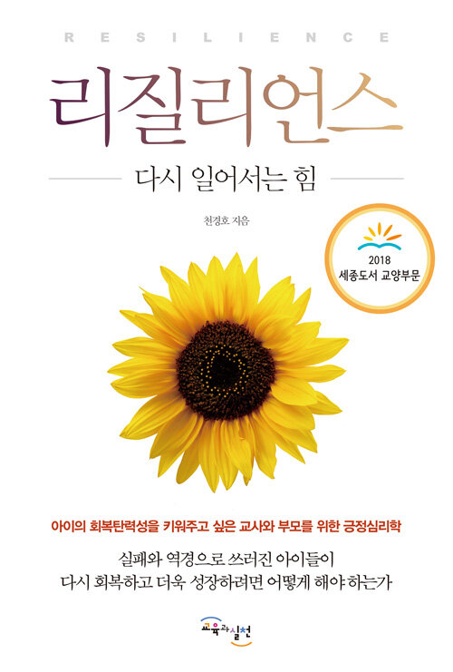 리질리언스 : 다시 일어서는 힘