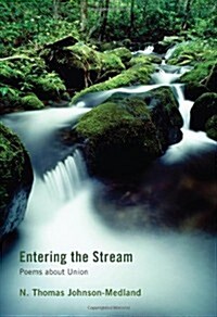 Entering the Stream (Paperback)