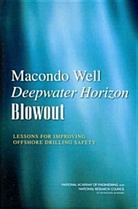 Macondo Well Deepwater Horizon Blowout (Paperback)