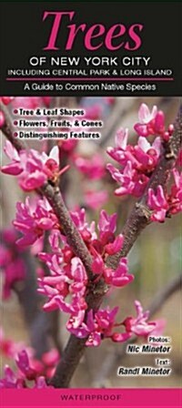 Trees of New York City, Incl. Central Park & Long Island: A Guide to Common Native Species (Other)