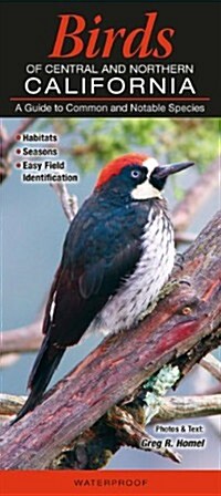 Birds of Central & Northern California: A Guide to Common & Notable Species (Other)