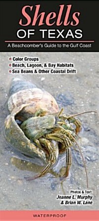 Shells of Texas: A Beachcombers Guide to the Gulf Coast (Other)