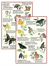 Butterfly Gardening With Floridas Native Plants (Paperback)