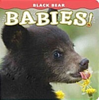 Black Bear Babies! (Board Books)